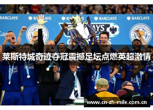 莱斯特城奇迹夺冠震撼足坛点燃英超激情